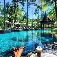Отзыв от Альбина - Виза Destination Thailand